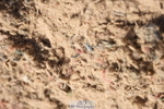 230906A-123652-00261