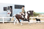 SBM_02955
