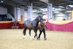 SBM_00301