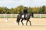 SBM_004696