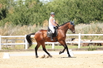 SBM_001741