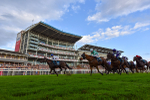 Race 4 7.15pm Tomahawk Restaurants Handicap portfolio