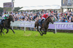 230824-Race 4-Bradsell-9417