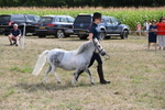 WJ6_7075