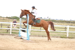 SBM_004359