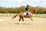SBM_000345
