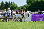 SBM_06463
