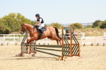 SBM_003980