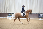 SBM_002077