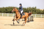 SBM_001884