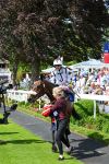 140625-Race 3-Al Qareem-2579