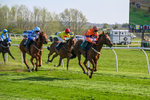 080426-Race 5-Free Pic-0578