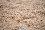 260829B-092829-00034