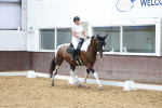 SBM_000271