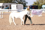 SBM_22751