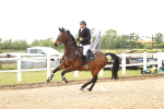 SBM_007961