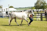 SBM_01725
