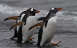 Deception Island