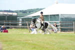 SBM_17245