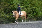WJ5_0366