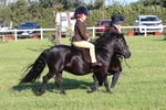 JPP_0847
