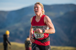 Sale Fell-334