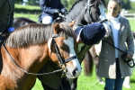 SBM_39627