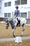 SBM_001464