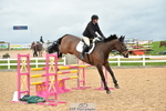 Cls 5 Foxhunter & Open portfolio