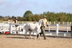 SBM_08428