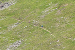 Duddon Long-415