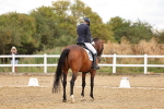 SBM_006427