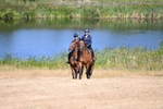 WJ6_8002