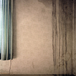 Curtain with Weeping Wallpaper, Eaton Hills