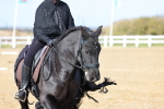 SBM_001042