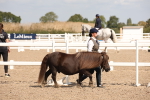 SBM_03379