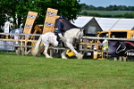 SBM_09382