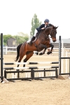 Class 14a - Clear Round portfolio