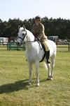 SBM_09596