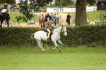 SBM_71632