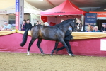 SBM_14957
