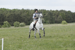 BVHT 140517  NXC -479