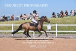BPP_1572
