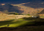 The cottage and the Tree - Lake District