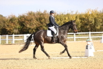 SBM_009123
