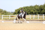 SBM_009238