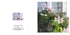 004 Geranium Window Box
