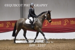 BPP_2337