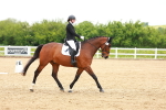 SBM_006527