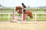 SBM_009586